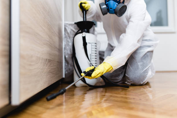 Best Pest Control Near Me  in Cresaptown, MD