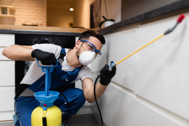 Best Bed Bug Extermination  in Cresaptown, MD